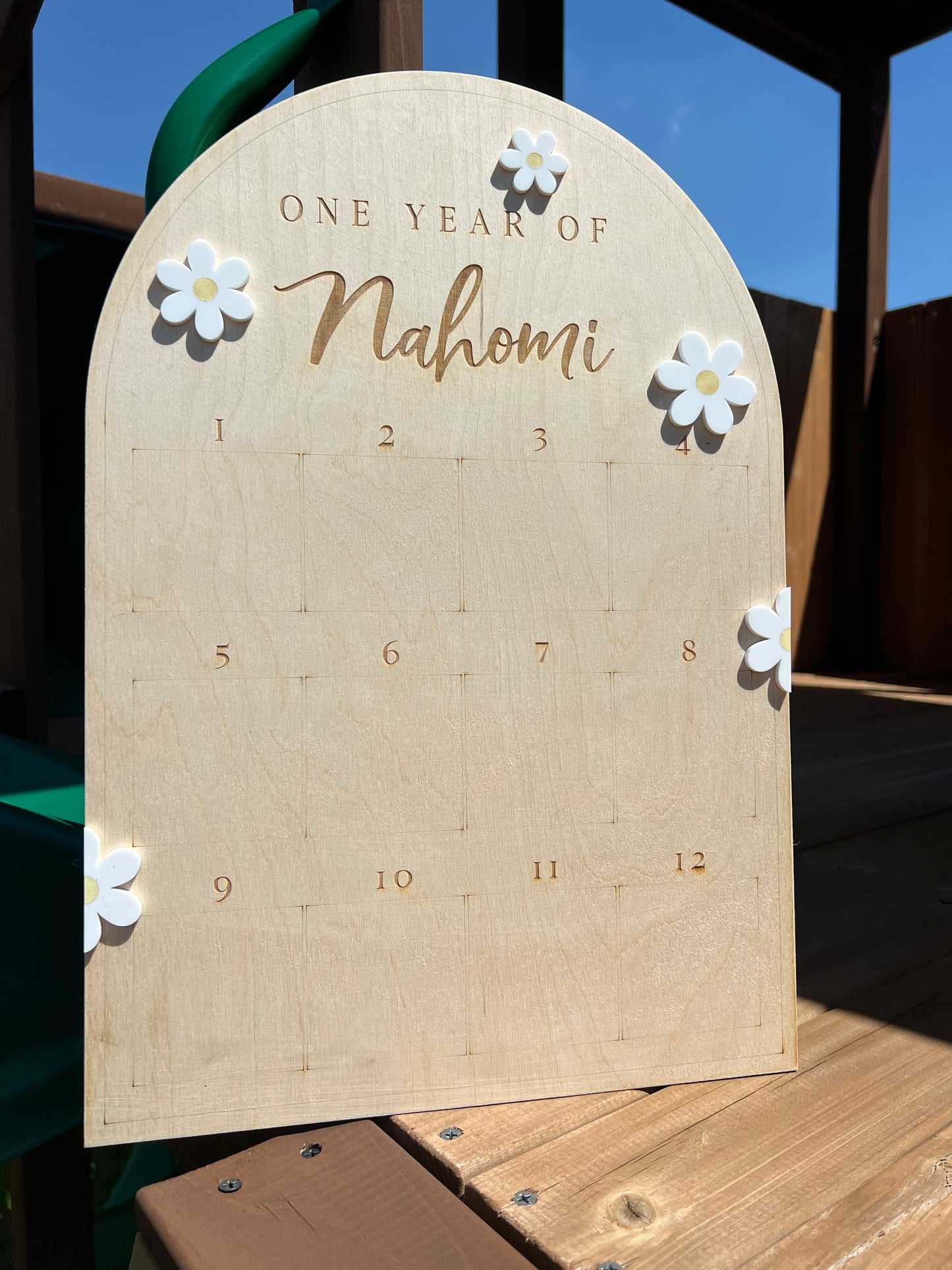 First Year Wooden Picture Sign