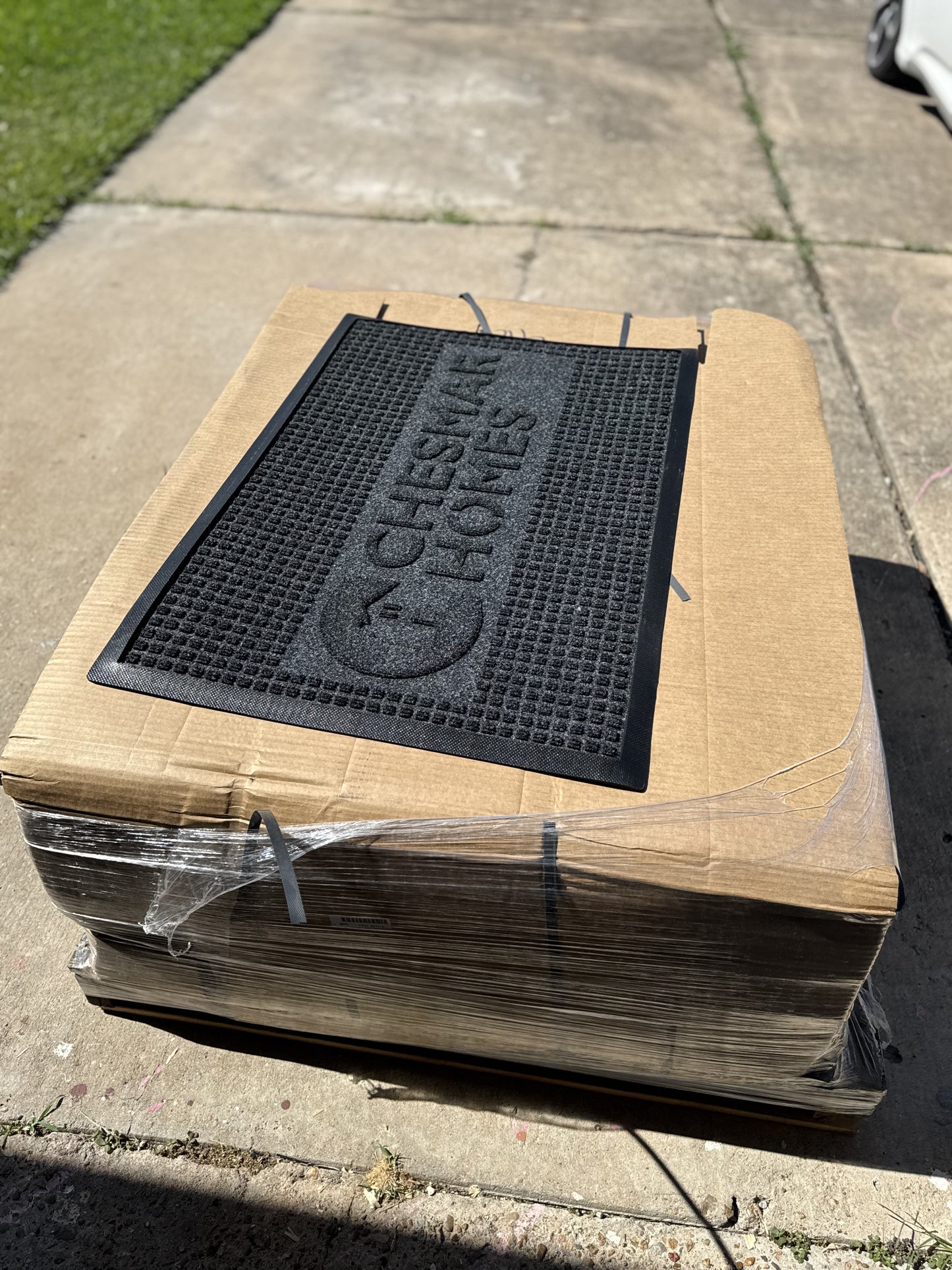 Chesmar Waterhog Door Mat